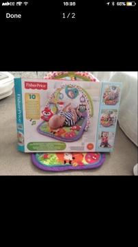 Play gym fisher price