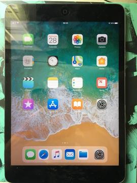 iPad mini 2 cellular Unlocked 32GB space grey