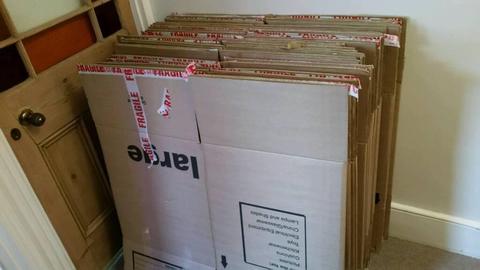 50+ cardboard boxes