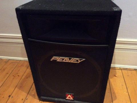 Peavey. Speakers apair in great condition.500 eurosys xt 4ohms Looked after by a musician