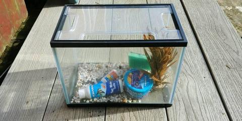 Small fish tank with some treatment