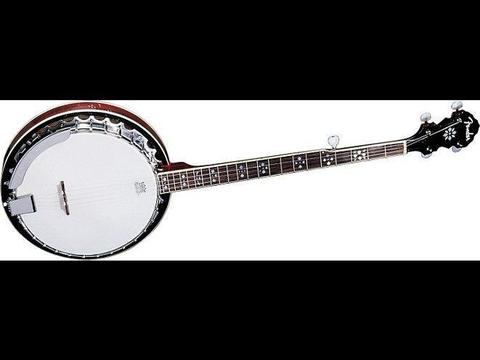 Fender 5 string Banjo with hard case