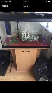 Fish tank with stand - full set up