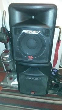 2 speakers model peavey made in usa good condition fully working ready to go