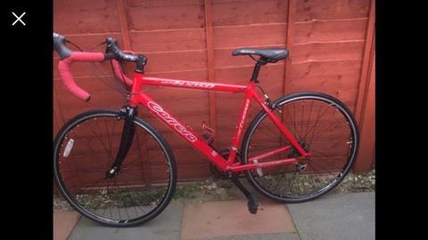 Excellent condition ! Carrera Virtuosso Road Racer Bike - Large frame
