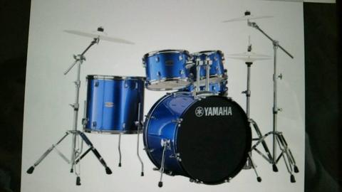 Yamaha Rydeen with accessories and bags