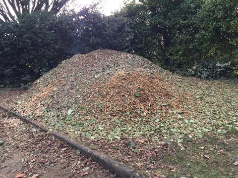 Free Garden Chippings