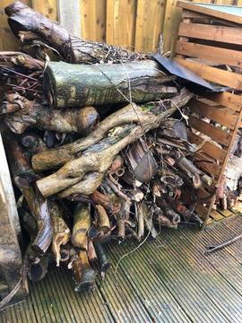 Logs, Wood, Free