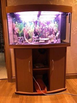 Aquarium Tank and Cabinet - Excellent Condition
