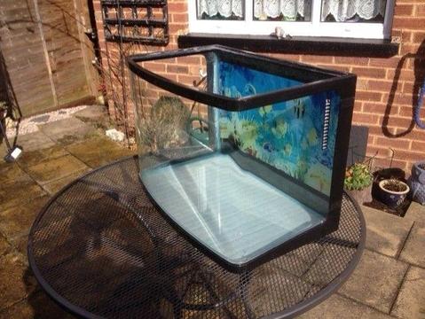 fish tank with curved front