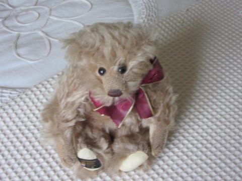 Canterbury Bear 'Pip' (Special Limited Edition)