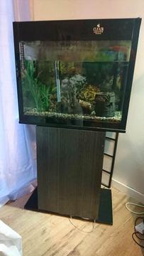Cleair Fish Tank