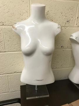 Half mannequin dressable busts