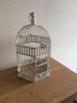 5 Large bird cages used for wedding table decoration