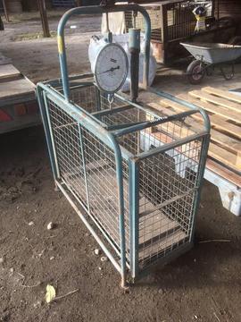 Sheep weighing crate