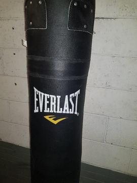 Everlast punch bag, wall mount and Gloves