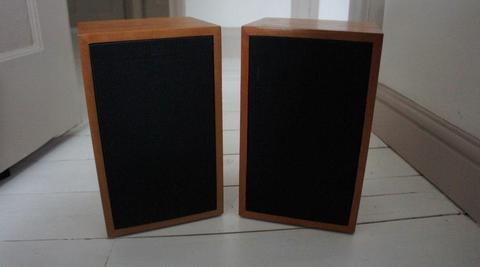 Speakers and mini Amp