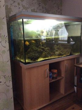 4ft Fish tank Rena £250ono