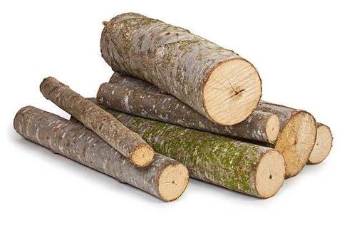 Logs or fallen trees wanted for firewood