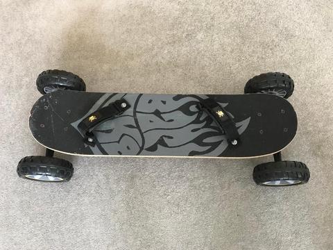 Balance board with foot straps