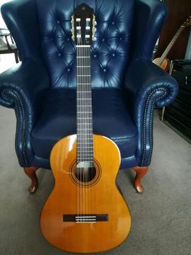 Brand new Yamaha CG162c classical guitar