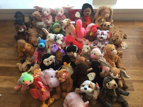 Collection of 50+ TY Beanie Babies