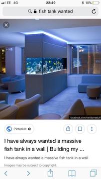Looking for a nice fish tank/aquarium