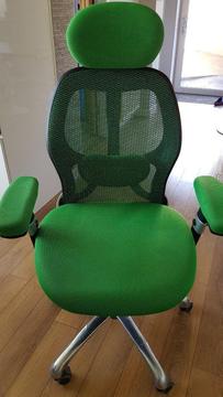 Ergo-Tek Green Mesh Manager Chair