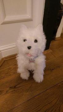 'Animagic Benji My Best Friend Soft Toy' -White Highland puppy dog toy