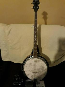 5 string barnes & mullins banjo
