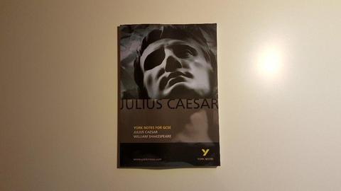 York Notes For GCSE Julius Caesar