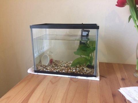 15 Litre Fish Tank + Filter
