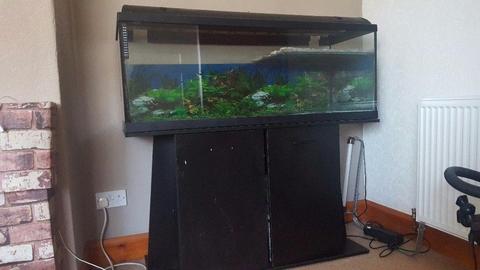 For sale 200-250 ltrs aquarium with stand and cover