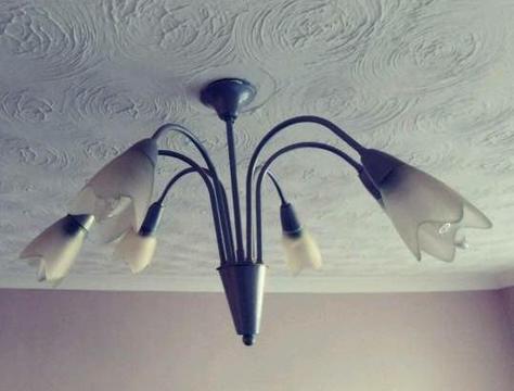 Ceiling light. 5 lamps