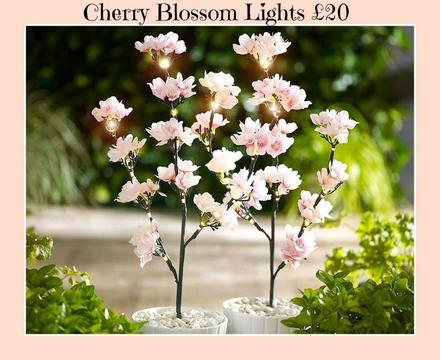 Cherry Blossom Solar Lights