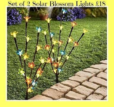 Solar Blossom Lights