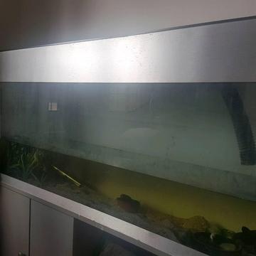 Large 6 foot fish tank .lights heater cabinet