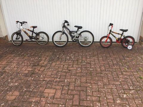 3 Bicycles in great condition £20 each