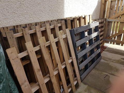8 wooden pallets of mixed sizes free to uplift