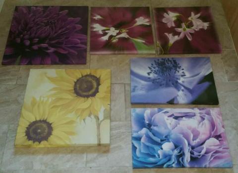 6 CANVASES