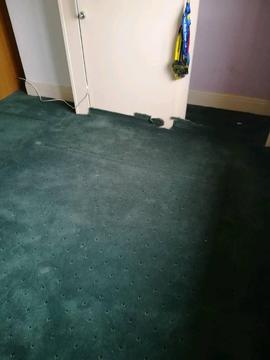 Free Carpet