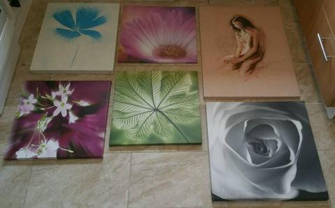 VARIETY OF CANVASES