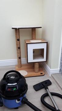 cat play house