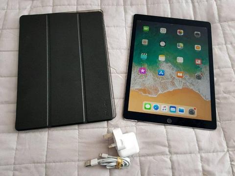 iPad Pro 12.9 Wifi and Cellular With Full Case and Charger