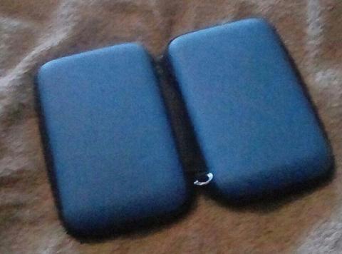 Blue ds carrying case