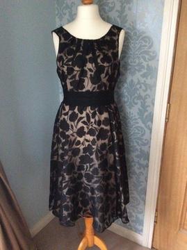 Phase Eight Occasion Dress