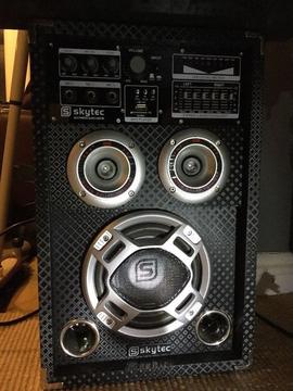 Pair of DJ karaoke speaker with mic system