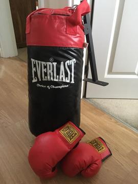 Everlast punch bag