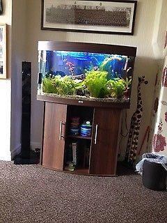 180 litre Juwel fish tank, Mahogany style case
