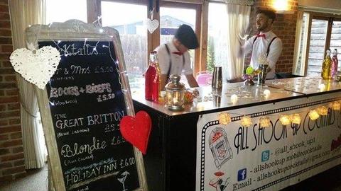 ***Price Reduction-quick sale needed*** Mobile Cocktail Bar and Accessories, Business for Sale